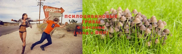 наркотики Алзамай