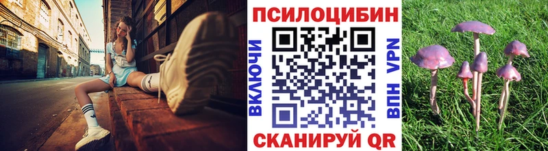 Галлюциногенные грибы Cubensis  KRAKEN tor  Ревда  сколько стоит 