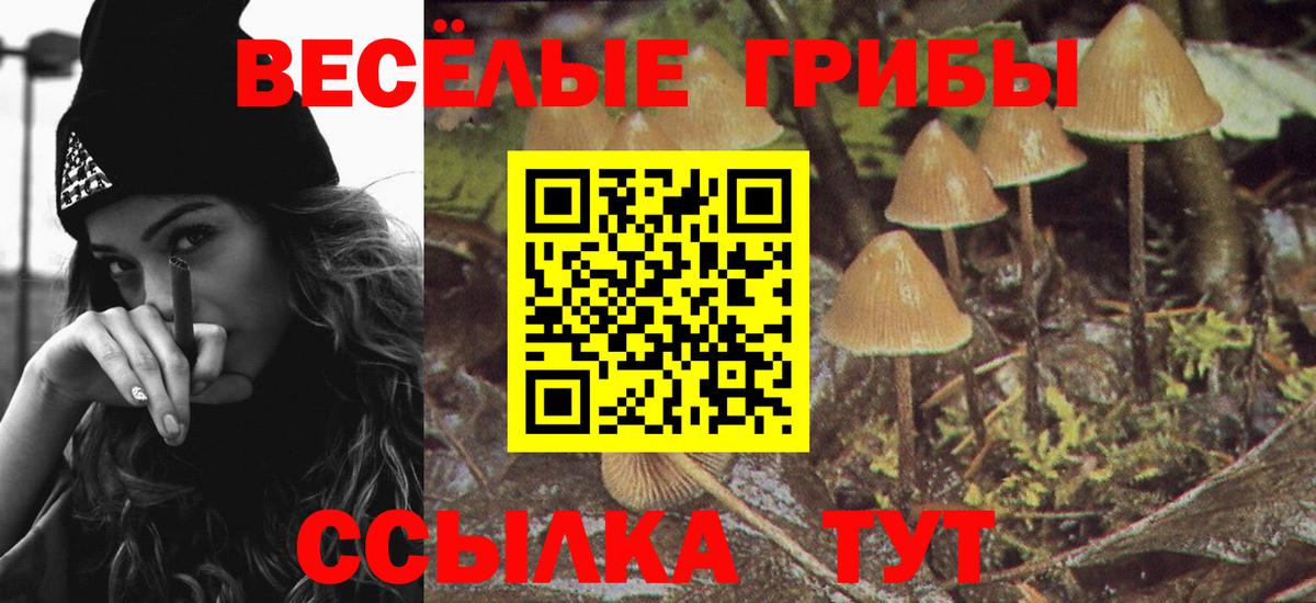 Псилоцибиновые грибы Psilocybe  Галлюциногенные грибы прущие грибы  продажа наркотиков  Ревда  Вход с VPN 